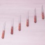Набор ножей для стейка из нержавеющей стали 11.5 см с деревяной ручкой 6 шт Kamille 5300